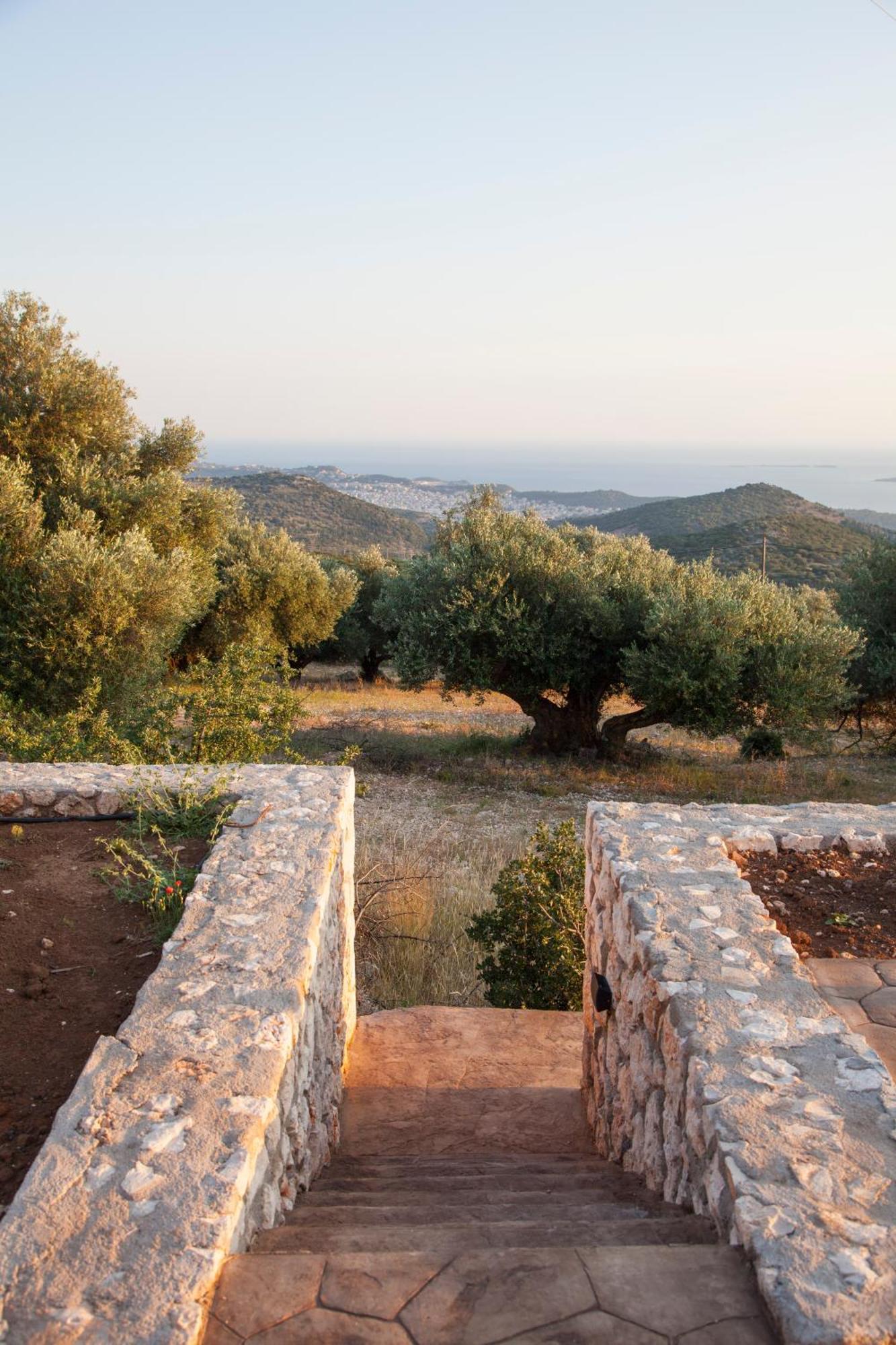 Villa Anthodesmi *